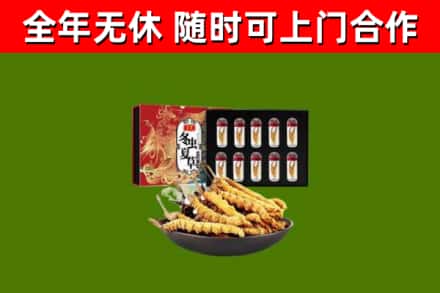 黔南回收冬虫夏草价格